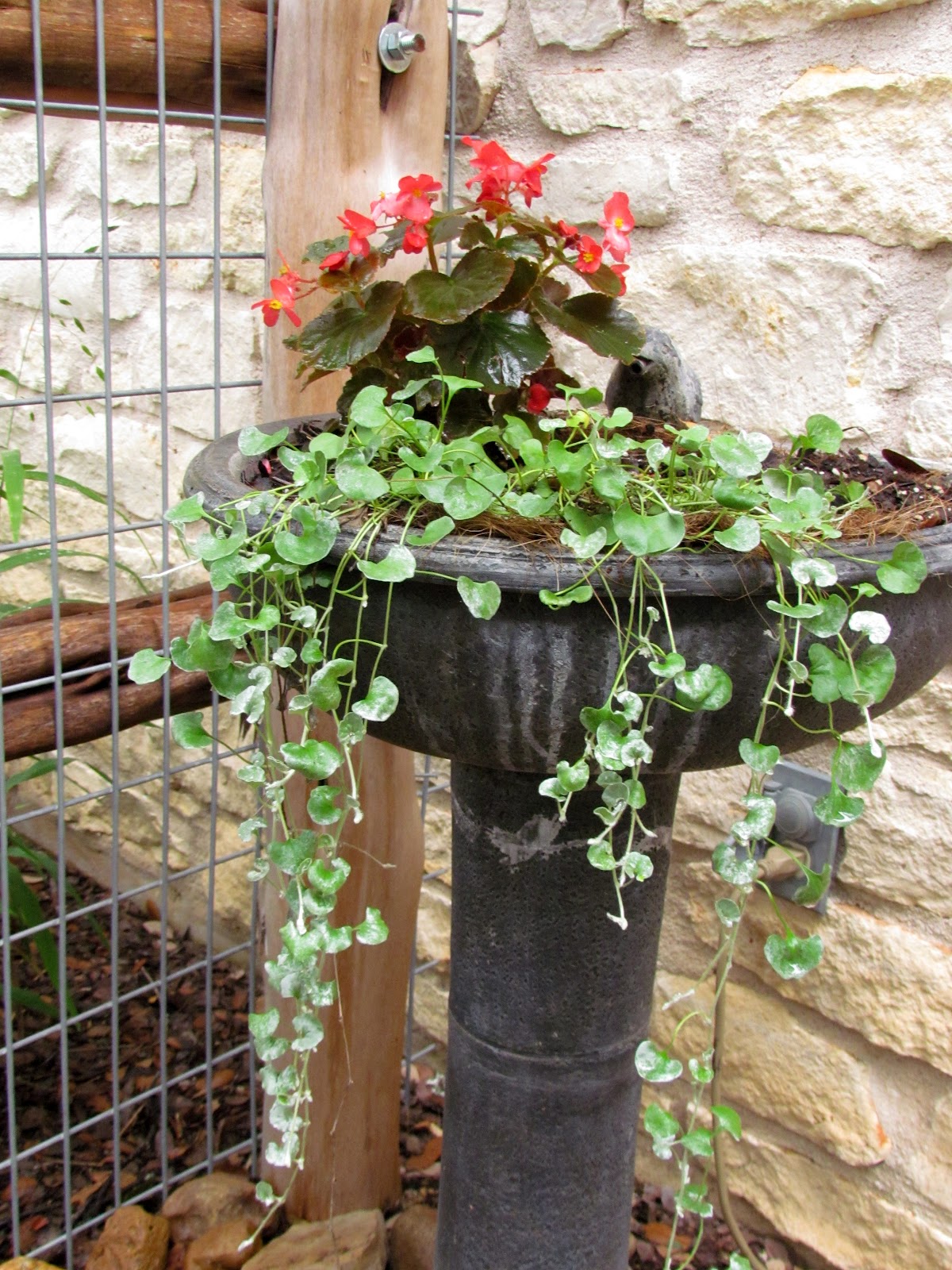 fountain+planter.jpg