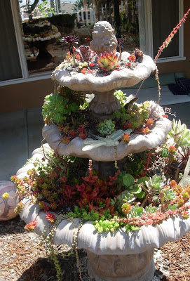 Fountain+with+Succulents.JPG