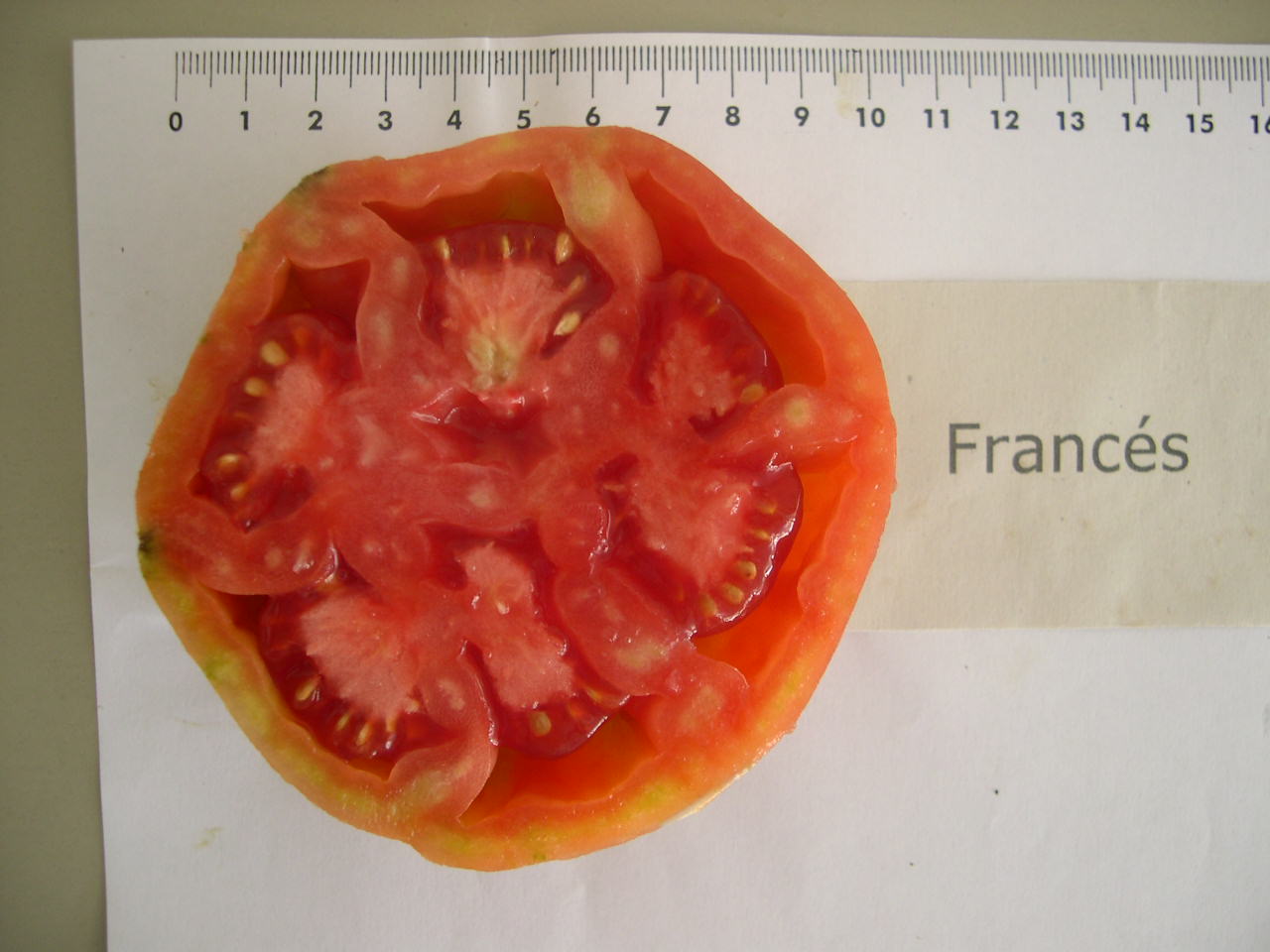 frances1.JPG