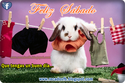 frases-para-desear-feliz-sabado-imageens-de-feliz-sabado-para-facebook-con-farses.png