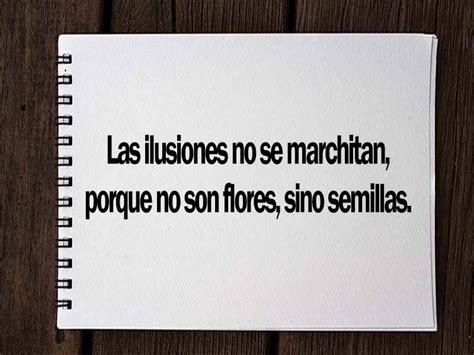 frases-para-estados-de-whatsapp-instagram-facebook-y-twitter-myid-OIP.4_nI7UgG9YAaz4fJqXuBoQHaFj.jpg