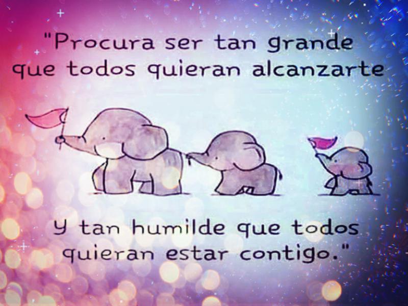 frases-positivas.jpg