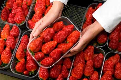 fresas.jpg