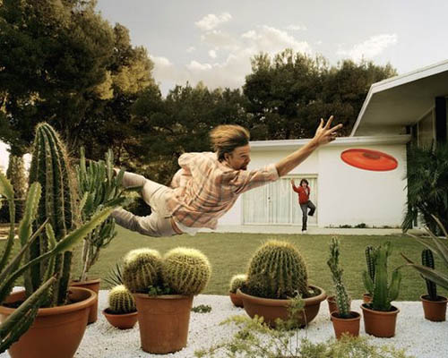 frisbee-cactus-hazard.jpg