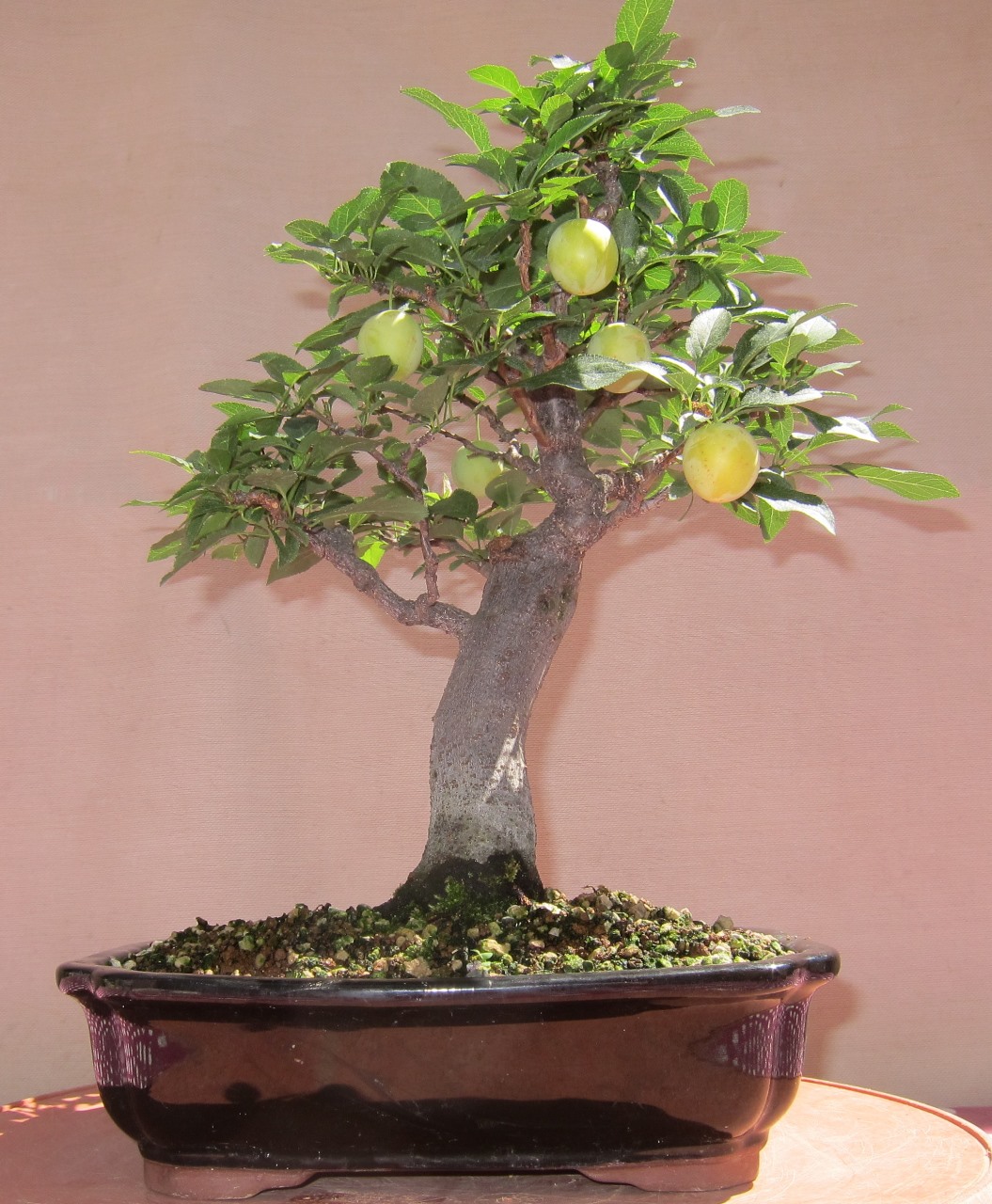 fruit23.jpg