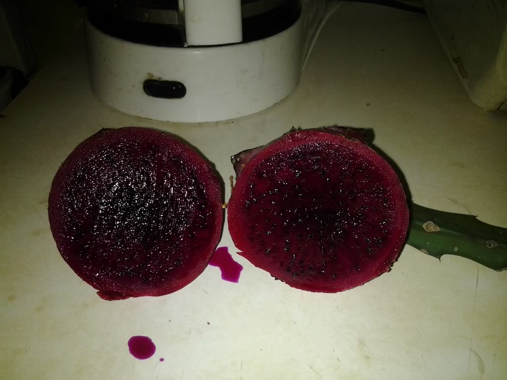 fruta2.jpg