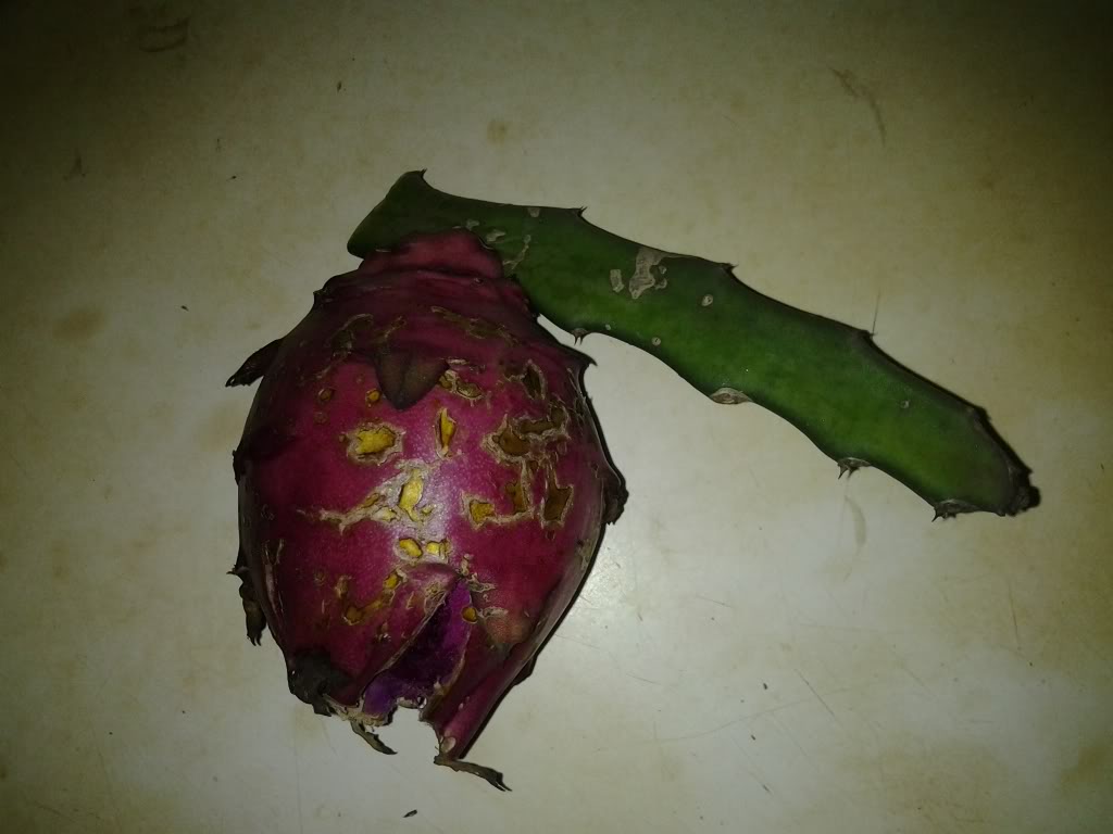 fruta3.jpg