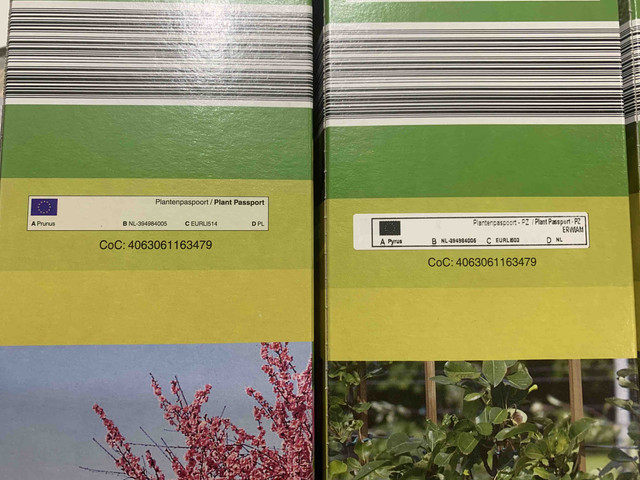 frutales-lidl02.jpg
