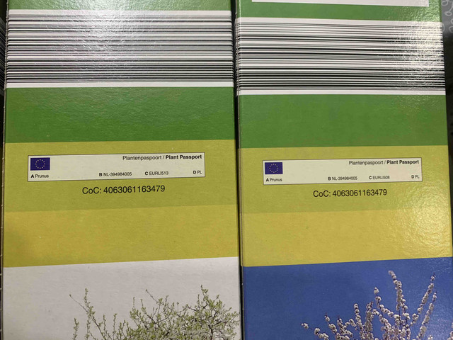 frutales-lidl03.jpg