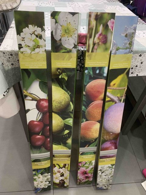 frutales-nuevos01.jpg