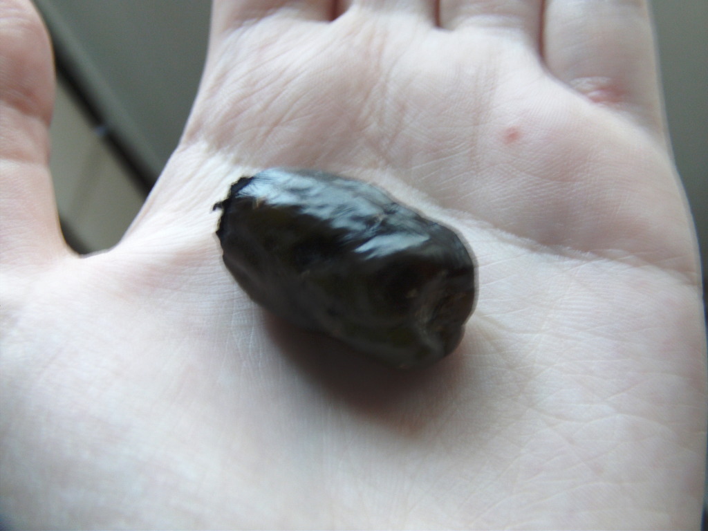 Fruto2.jpg