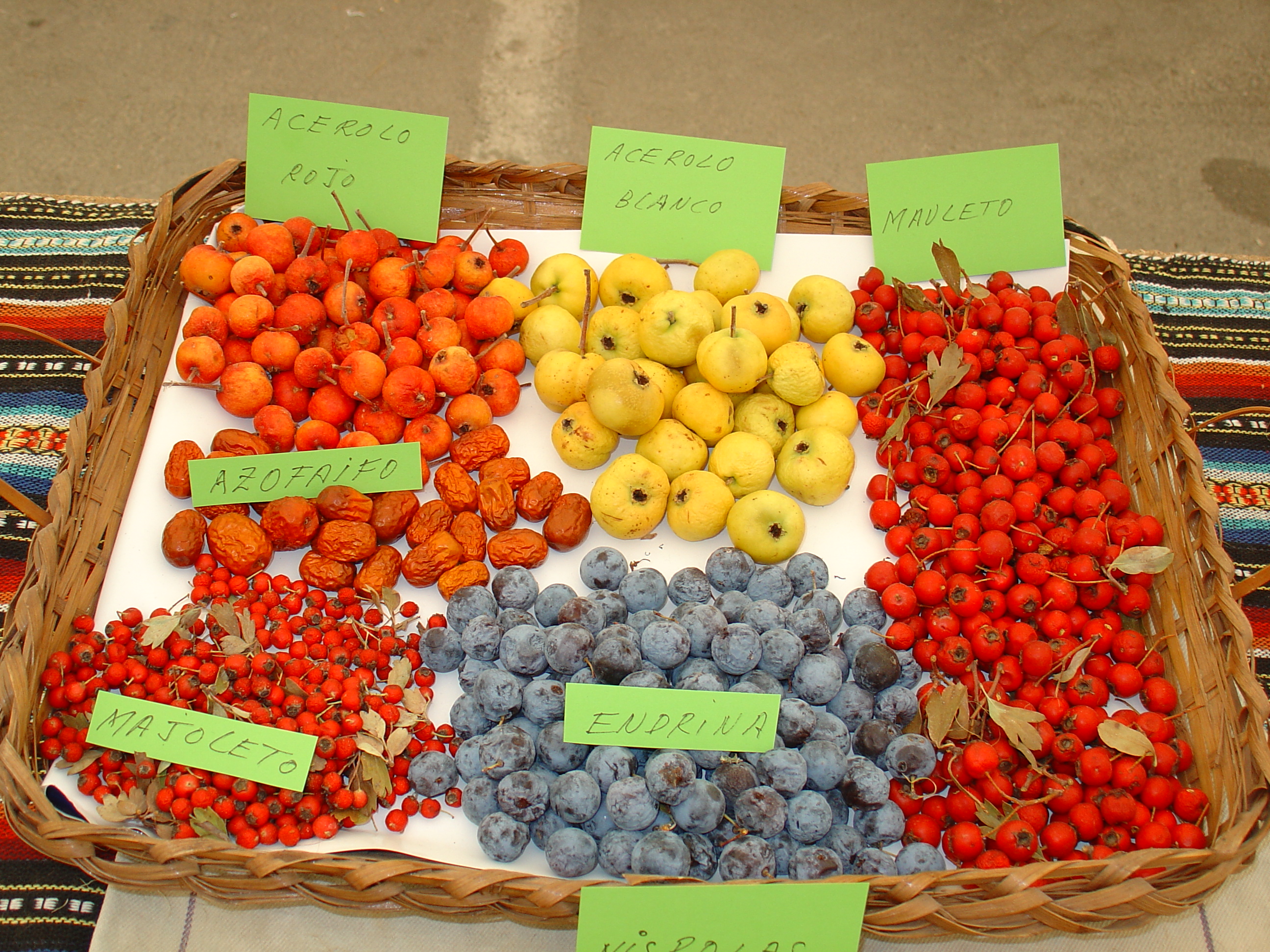 Frutos_del_otono.jpg