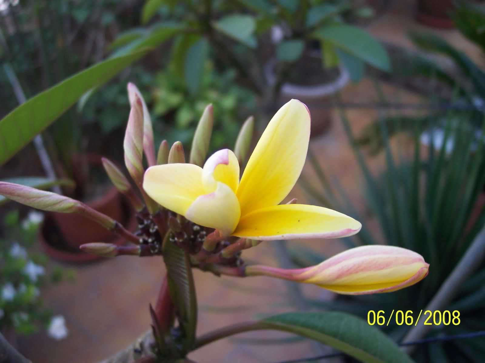 ftoh8i.jpg