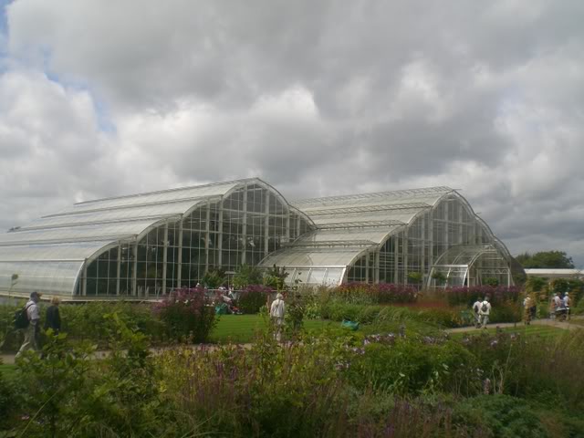 FUCHSIASWISLEY138.jpg