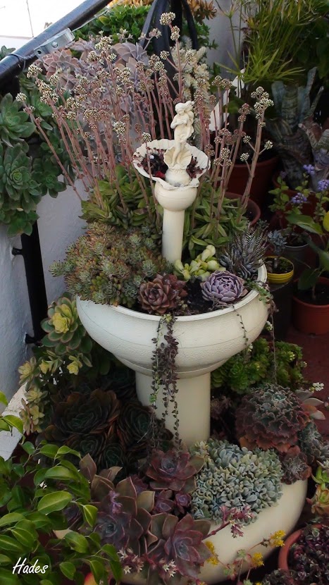 fuente.jpg