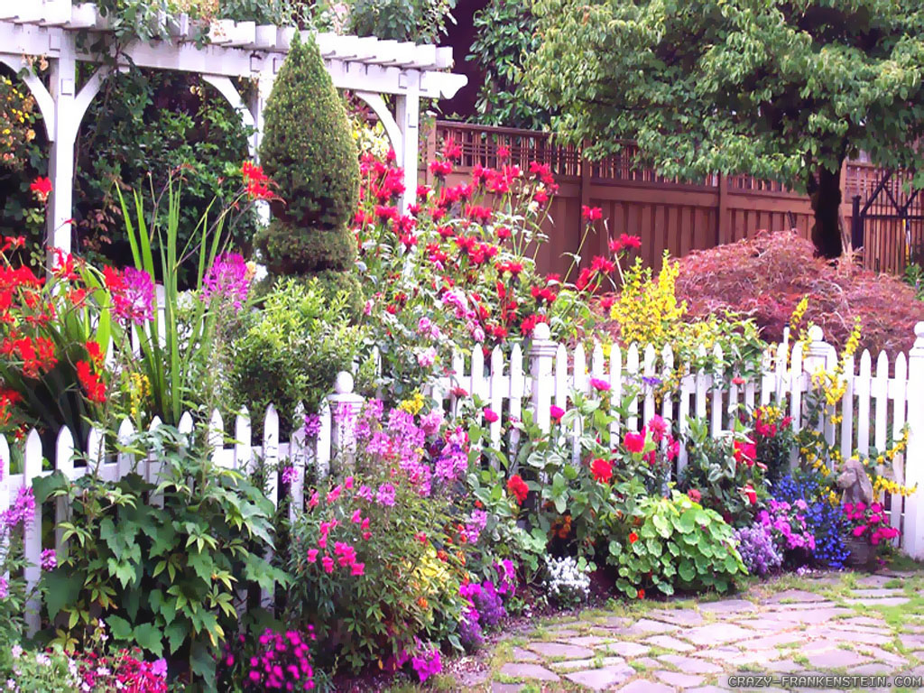 full-color-flowers-summer-garden-wallpapers-1024x768.jpg