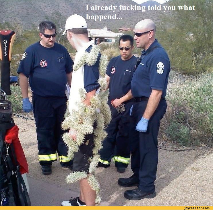 funny-pictures-auto-guy-police-467611.jpe