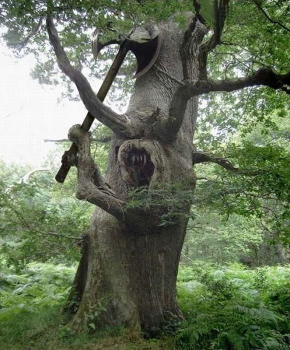Funny-Tree-17.jpg