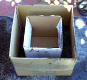 g00117_02.jpg