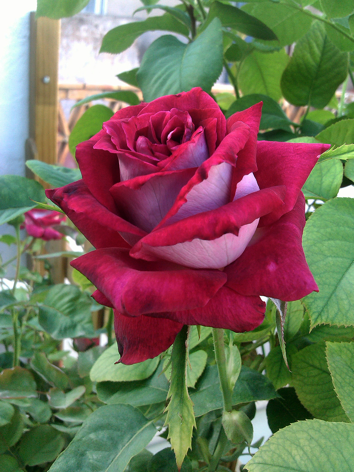 g55555555555.jpg