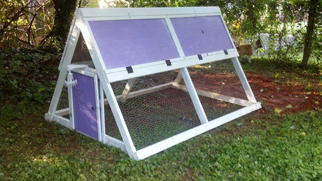 gallinero-josete01.jpg