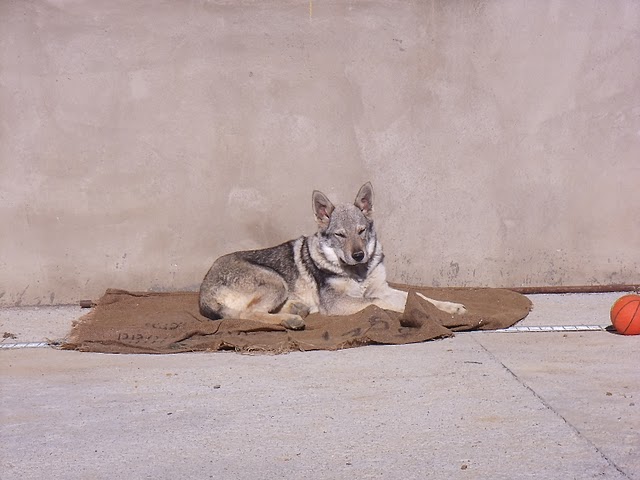 ganesa.JPG