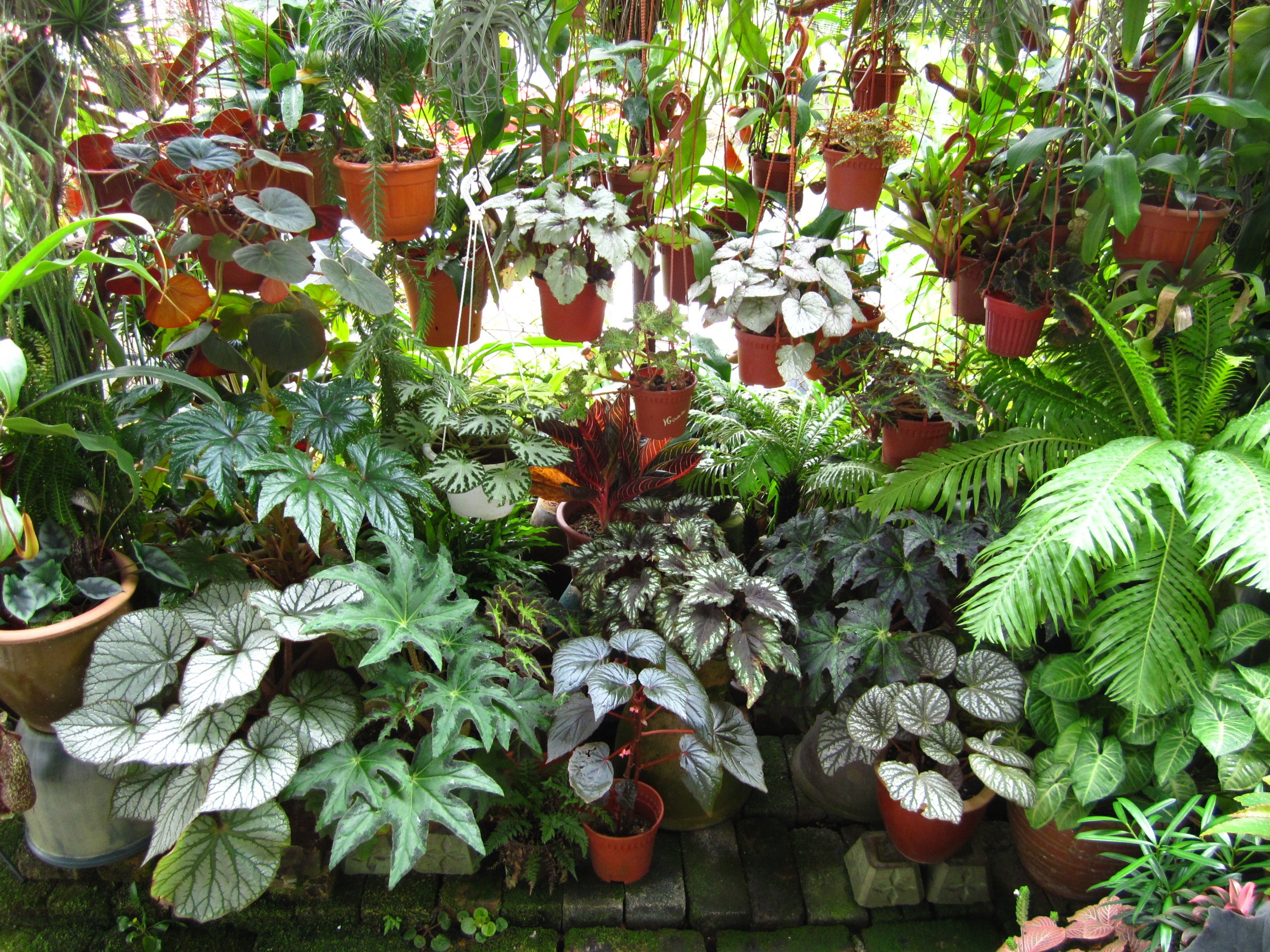 garden-center.jpg