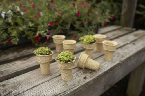 garden-ice-cream-cones.jpg