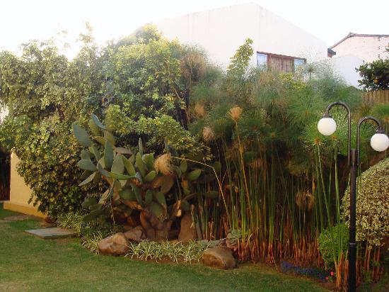 garden.jpg