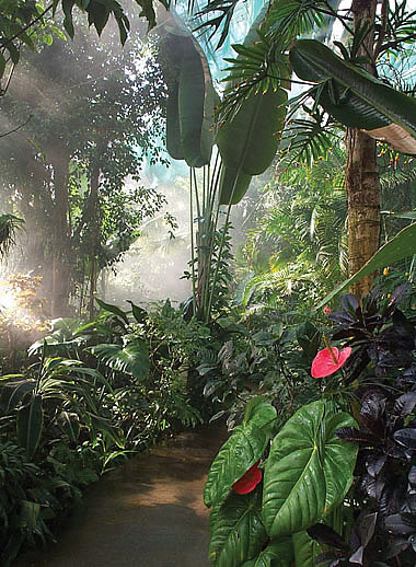 garden-plantasia.jpg