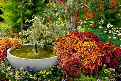 garden+scene+coleus+fountain+sized+shutterstock_13206322.jpg