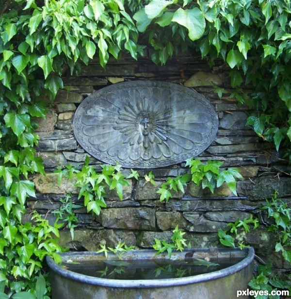 Garden-sink-4c8e10bceee7d.jpg