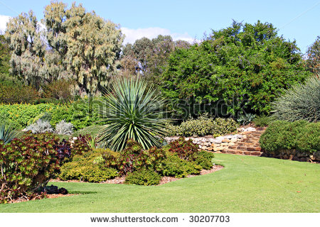 -garden-with-beds-of-succulent-plants-and-other-drought-tolerant-low-water-usage-plants-30207703.jpg