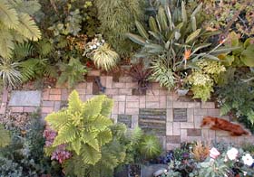 garden1110c_s.jpg