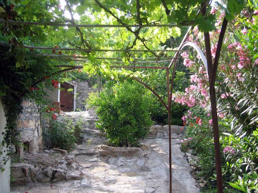 garden2.JPG