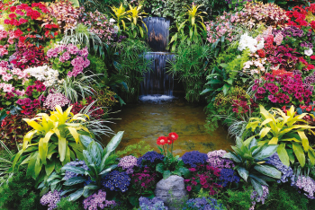 Garden_Colours.jpg