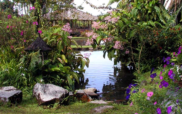 gardenia16.jpg