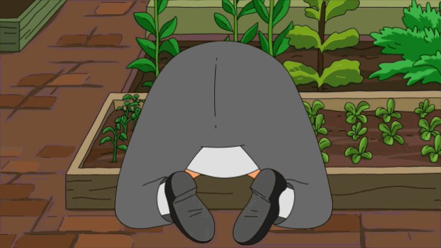 Gardening-Bob-Burgers222.gif