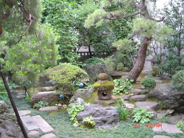 gardenoutsidemyroom.jpg
