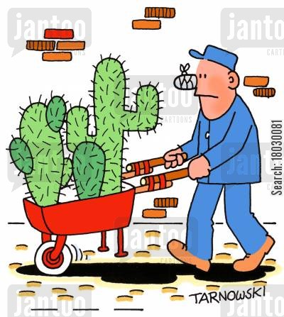 gardens-cactus-gardeners-gardens-work_hazards-wheelbarrow-18030081_low.jpg
