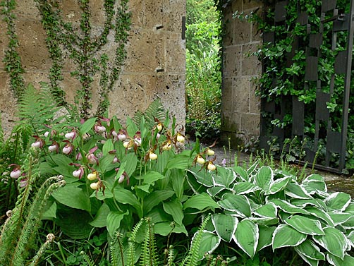 garten09.jpg