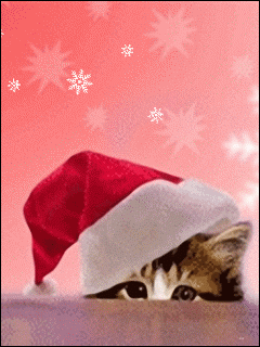 gato%252520santa%252520claus%252520gif.gif