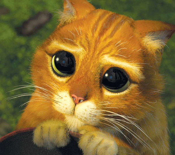 gato-de-botas.gif
