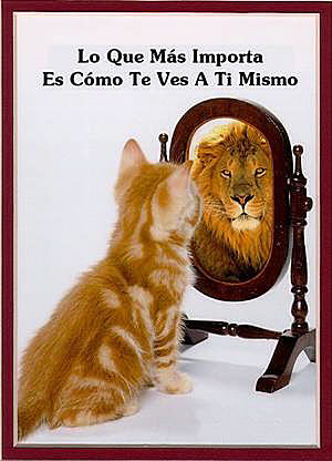 Gato-leon.jpg