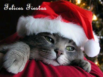 gato+navidad.jpg