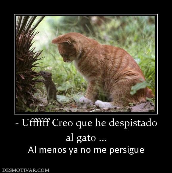 gato-raton.jpg