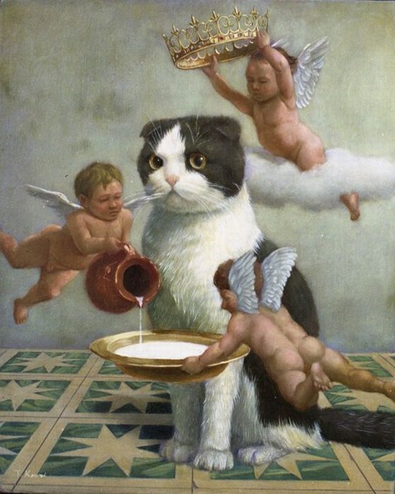 gato-rey.jpg