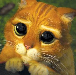 gato_shrek1.jpg