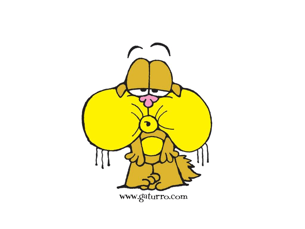 gaturro-1.gif