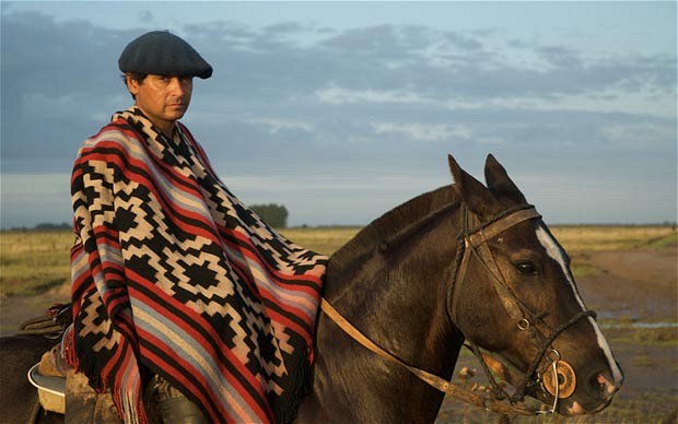 gaucho-pnoch_2337047b.jpg